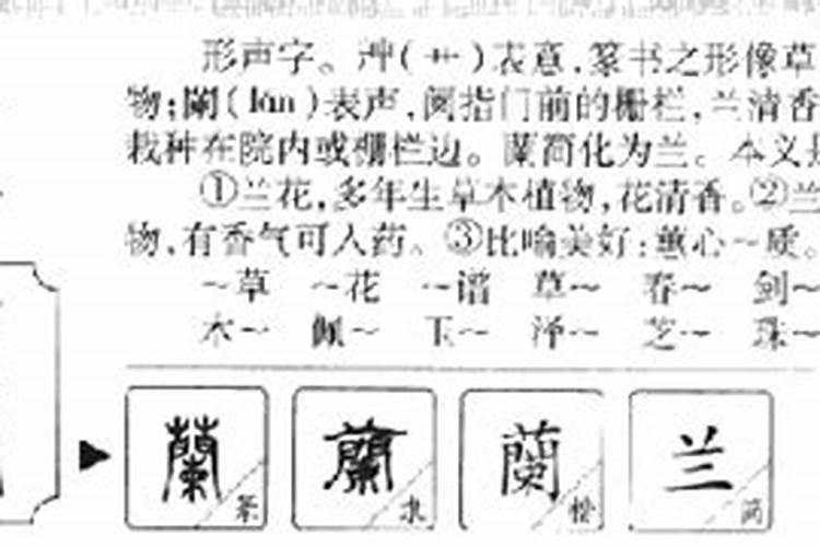 兰字五行属什么属性的名字