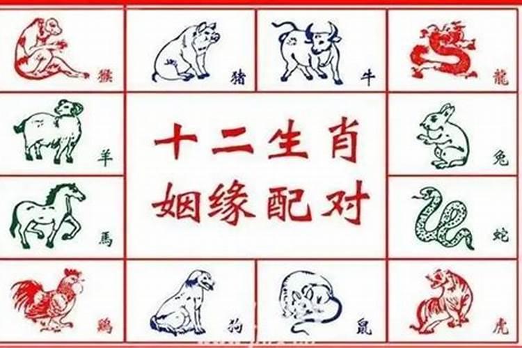 八字中的用神怎么确定