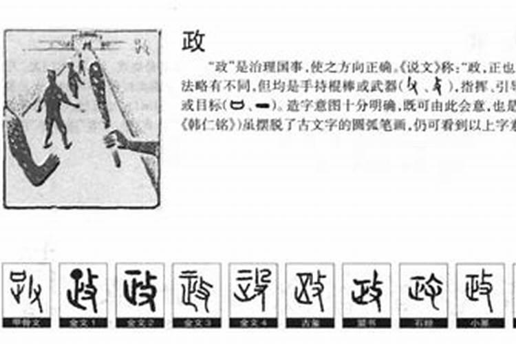 政的五行属性属什么