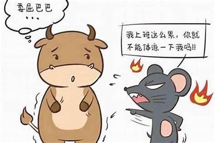 女人梦见自己的猫是什么预兆