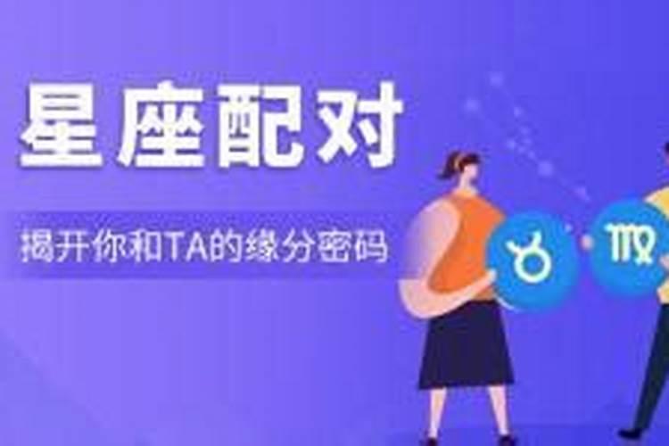 双子座与处女座合适吗