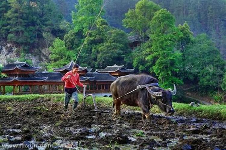 梦见自己耕地什么意思周公解梦