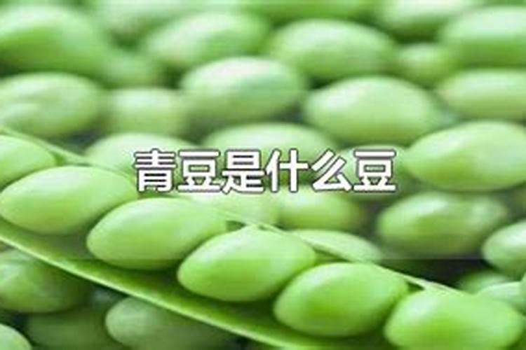 梦见青豆苗是什么意思