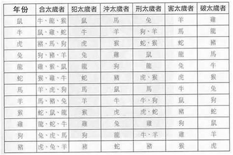 1955生今年的运势