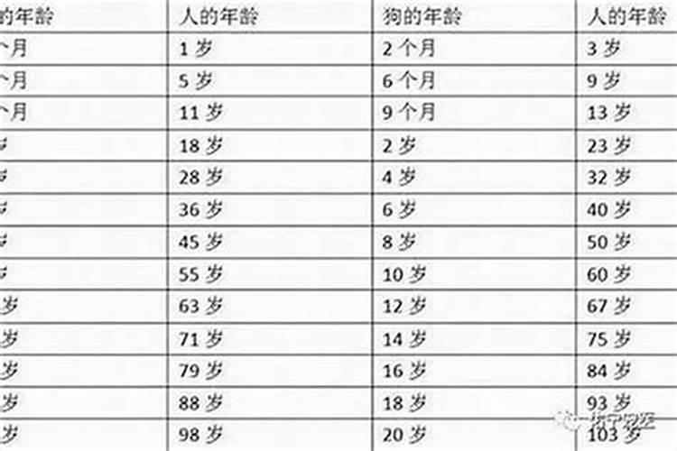 本命年怎么算一年