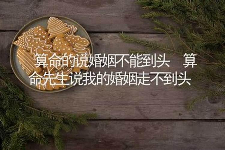 属鼠的今年财运好不好