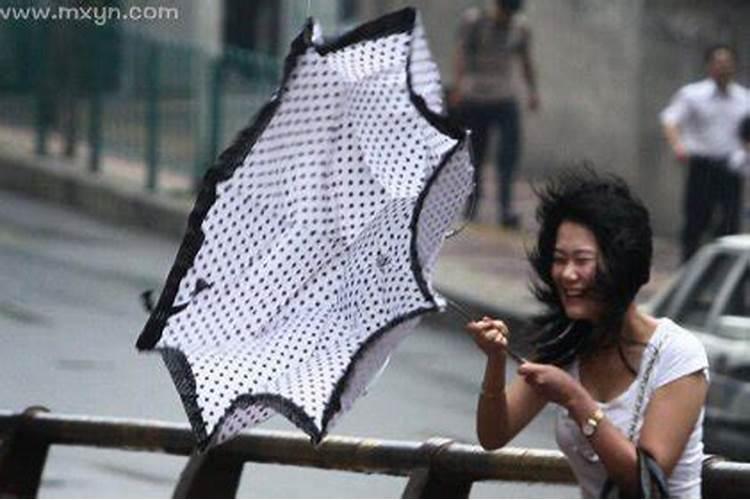 梦见大风大雨预示什么解梦