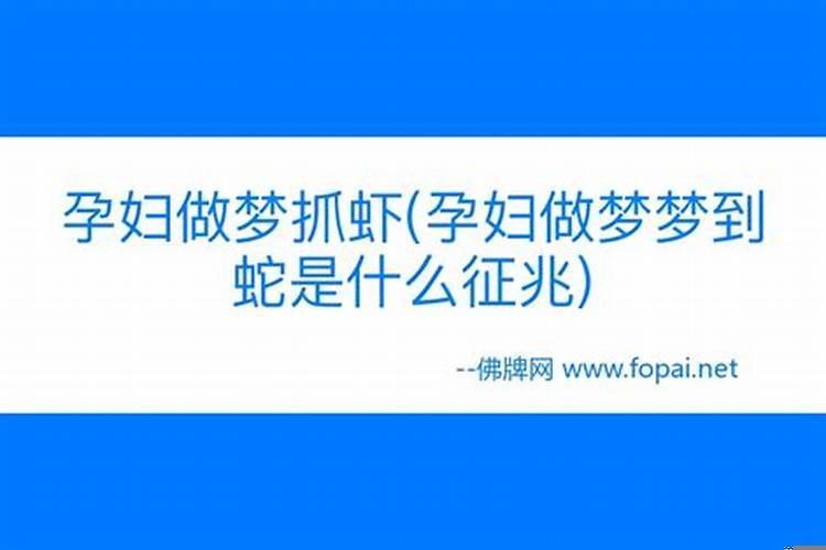 做梦梦到抓蛇是什么意思周公解梦女人怀孕了