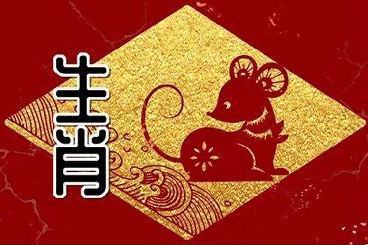 属鼠今年财运好吗