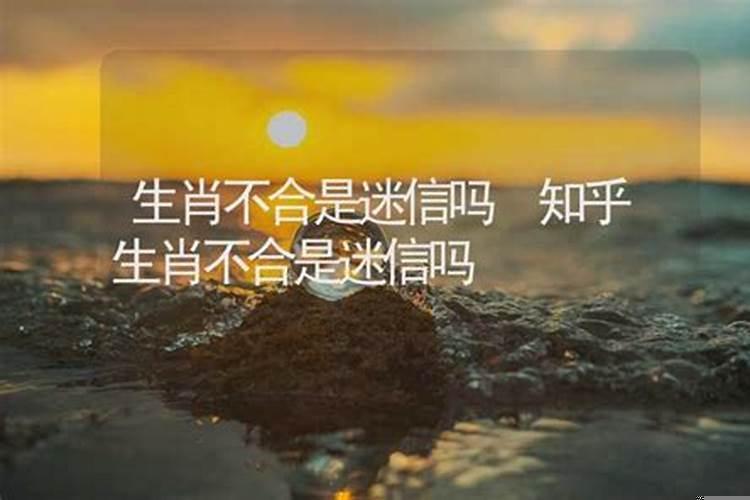 生肖不合怎么破解