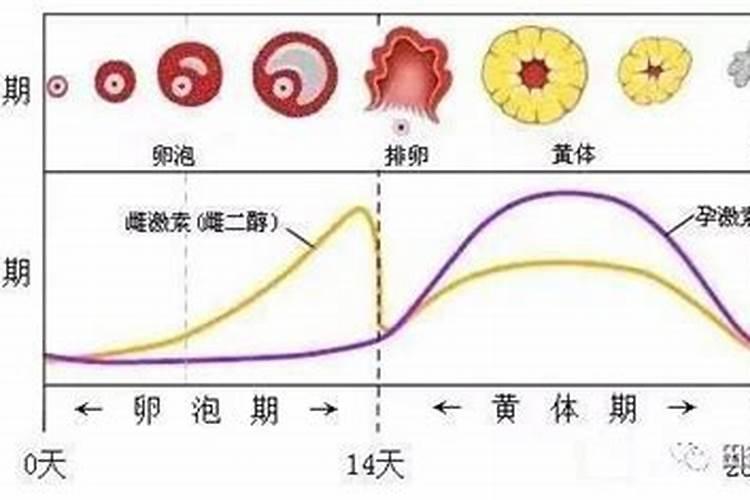 合肥立春习俗有哪些