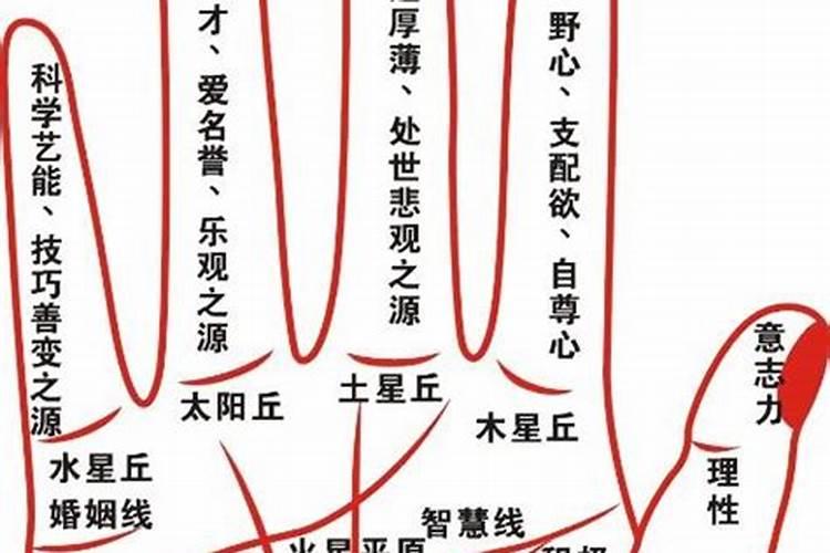 八字测试2022年运势查询