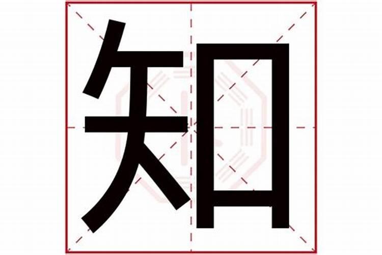 知字五行属什么意思