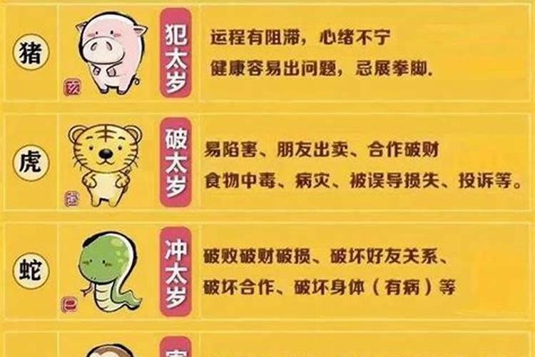 属虎的在办公桌摆什么好