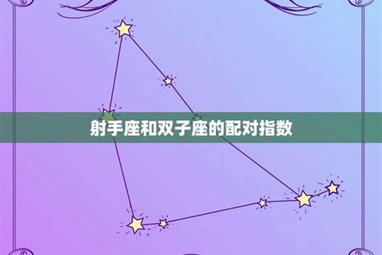 狮子座和射手座配对指数多少