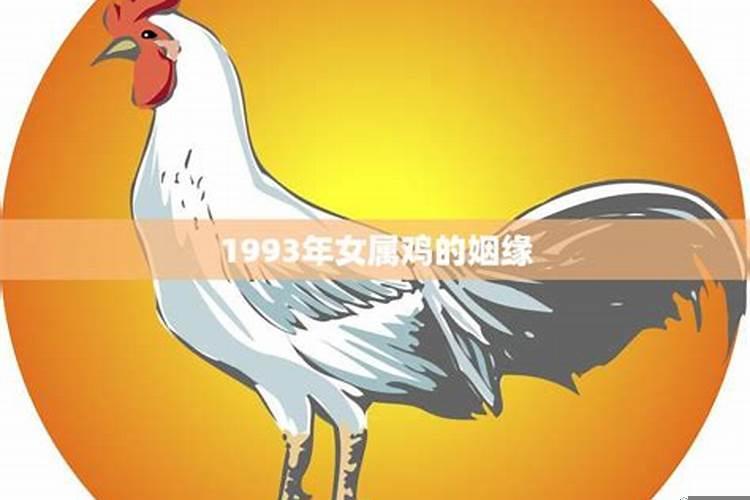 1993年属鸡的姻缘2022年