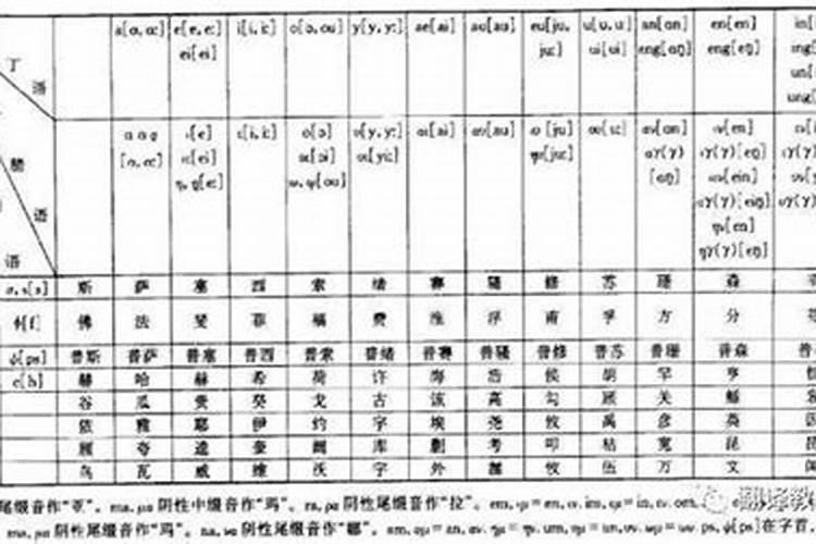 特的五行属性是什么意思