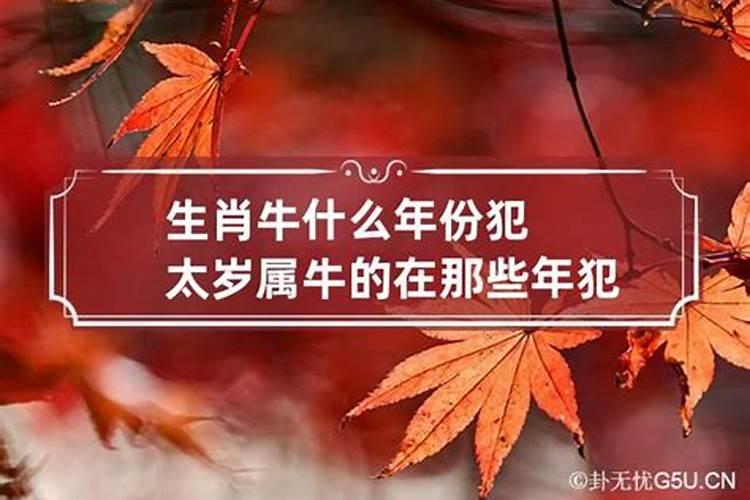 属牛的人在什么年犯太岁