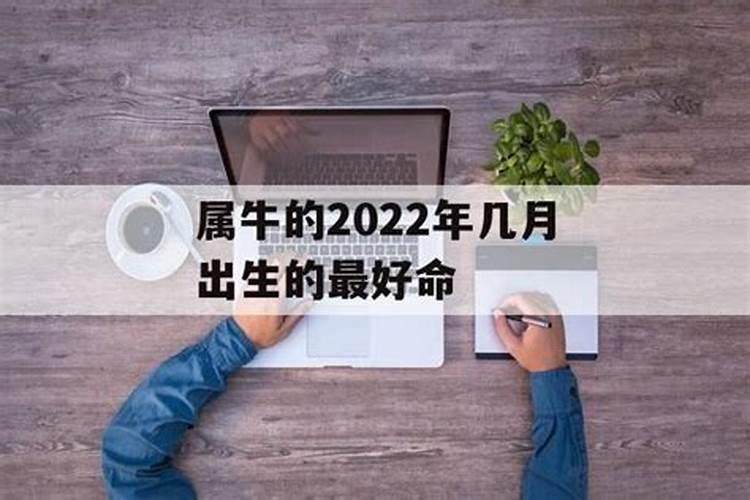 属牛的2022年多大了