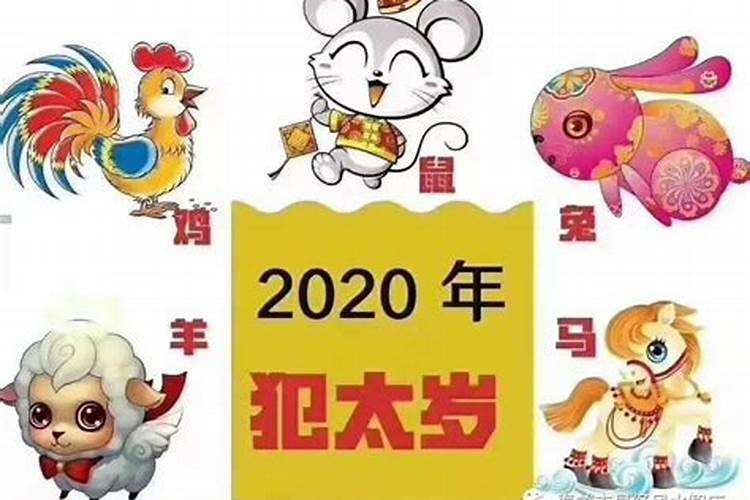 2020鼠年犯太岁