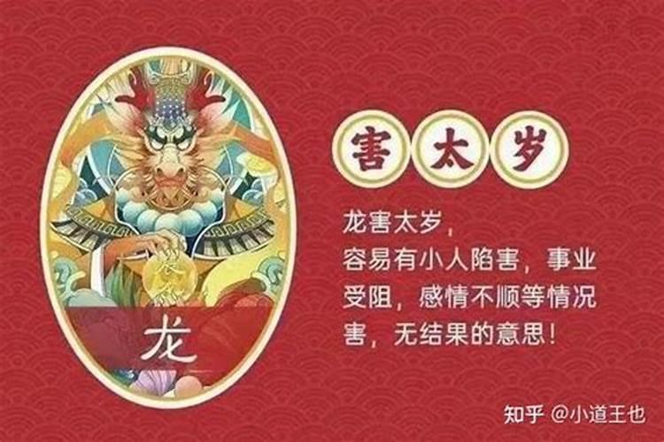 2023年属龙犯太岁怎么化解